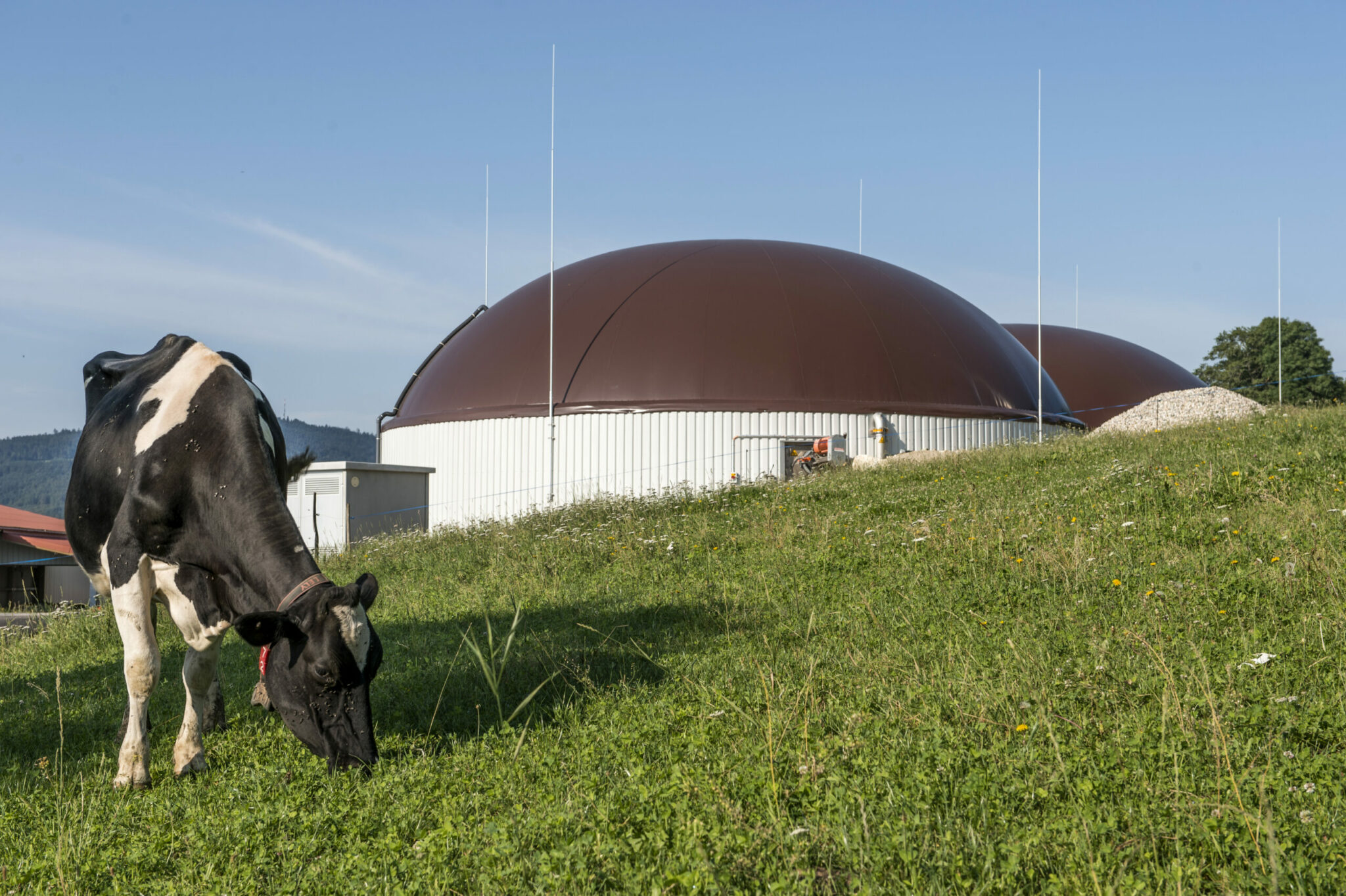 La Biomasse Les Explorateurs De L énergie